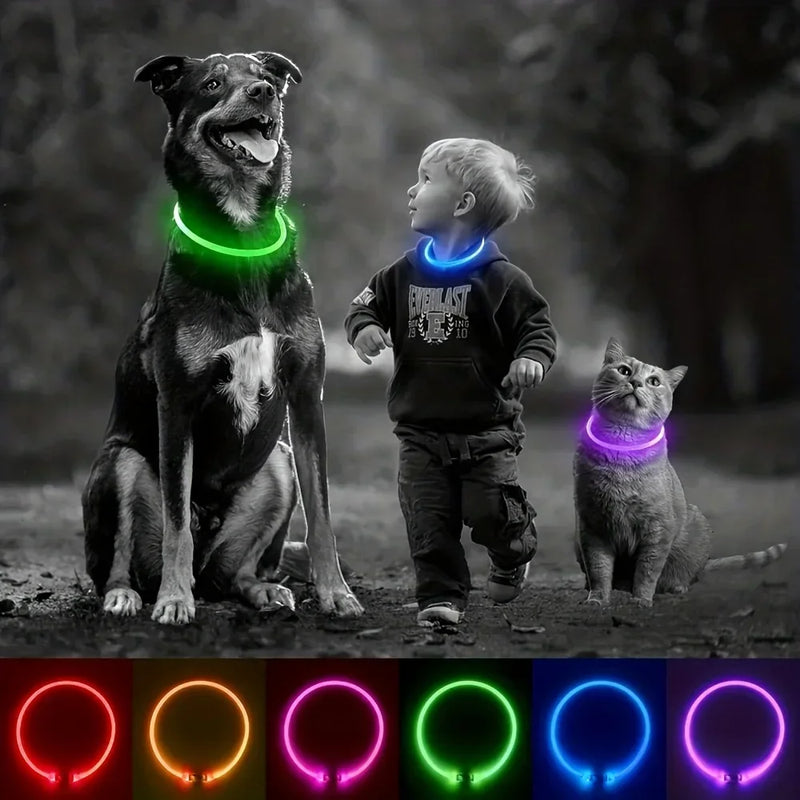 USB-wiederaufladbarer LED-Hundehalsband für mehr Sicherheit bei Nacht