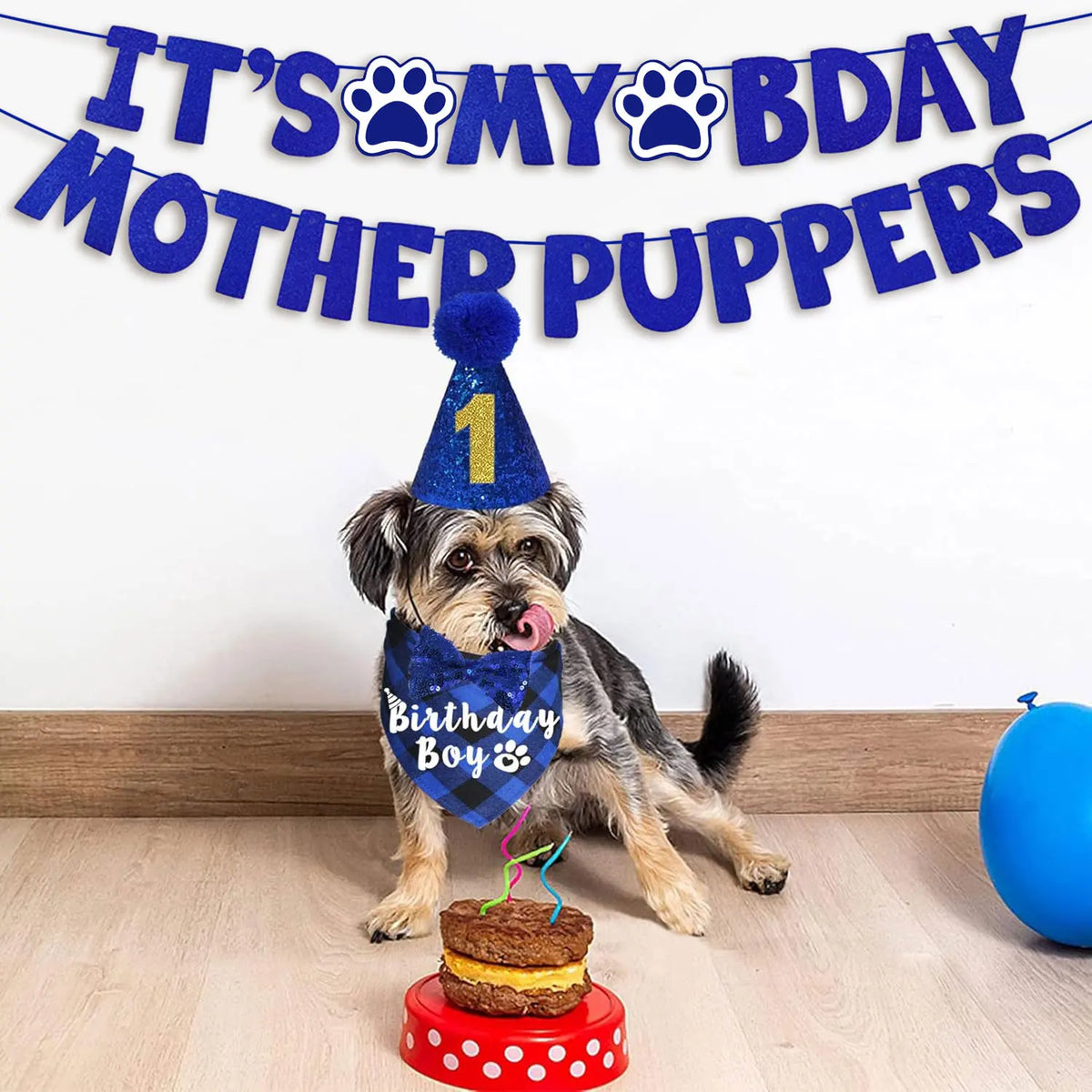 A dog wearing a birthday hat is sitting in front of a banner that reads It's My Bday Mother Puppers
