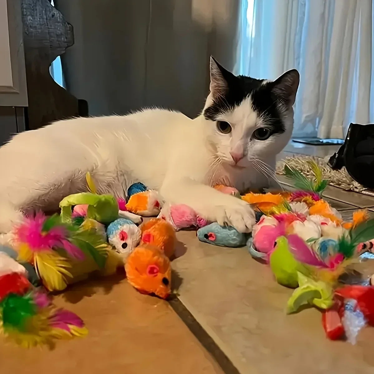 A white and black cat is lying next to a collection of colorful assorted cat toys.