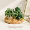 Realistic Artificial Monstera Potted Plant