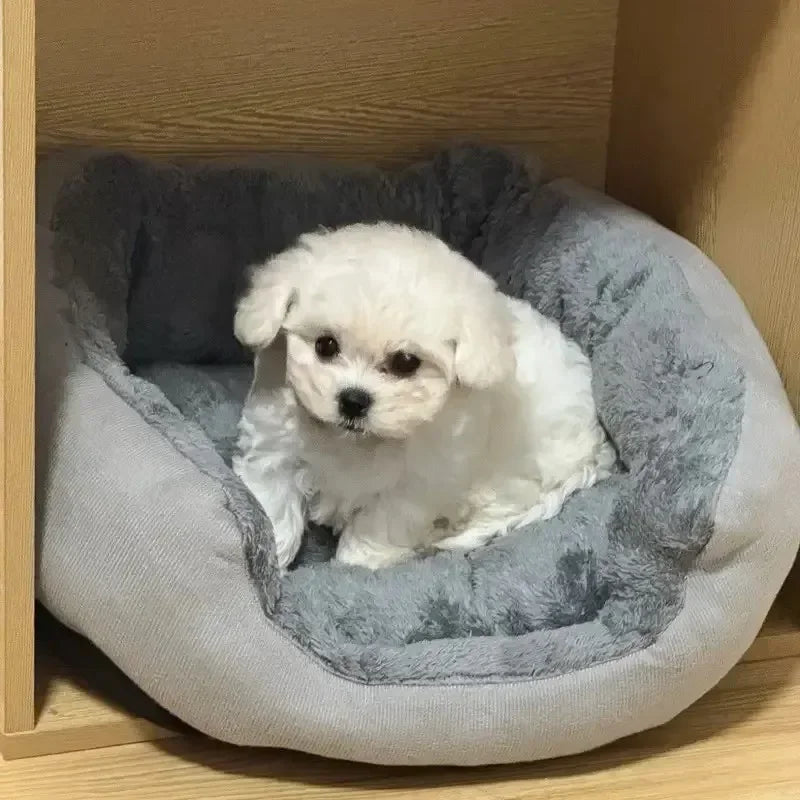 Cozy Plush Dog Bed with Soft Cotton Cover