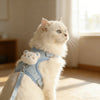 Un gato blanco peludo vistiendo un arnés y correa de animal azul claro, sentado en interiores.