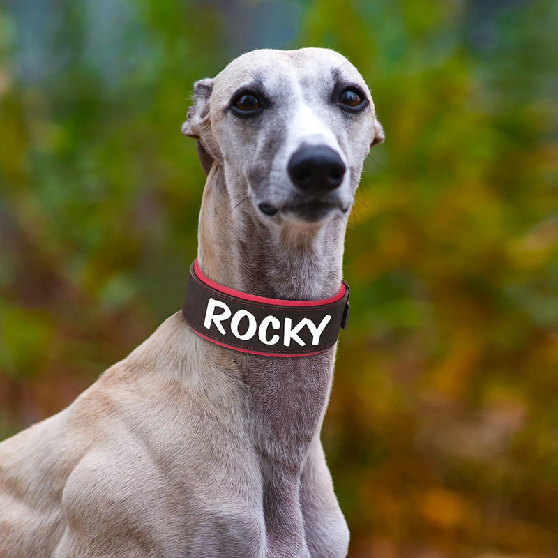 Wide Personalized PU Leather Dog Collar With Custom Name Tag