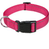 Decorative Nylon Dog Collar with Buckle Closure