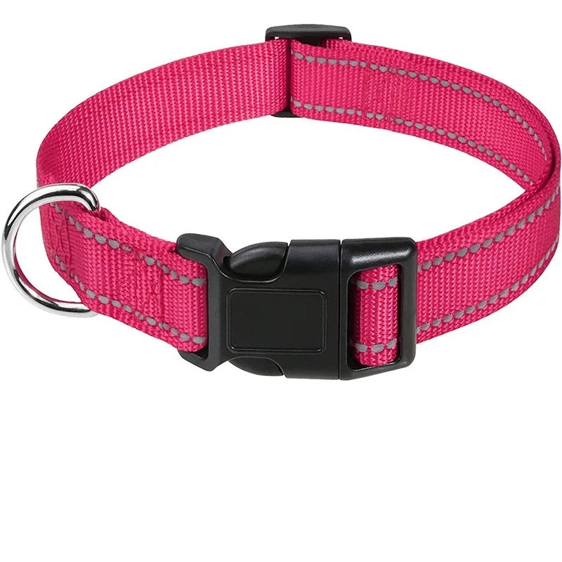 Decorative Nylon Dog Collar with Buckle Closure