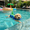 Shark-Shaped Dog Life Vest with High-Visibility Safety Features