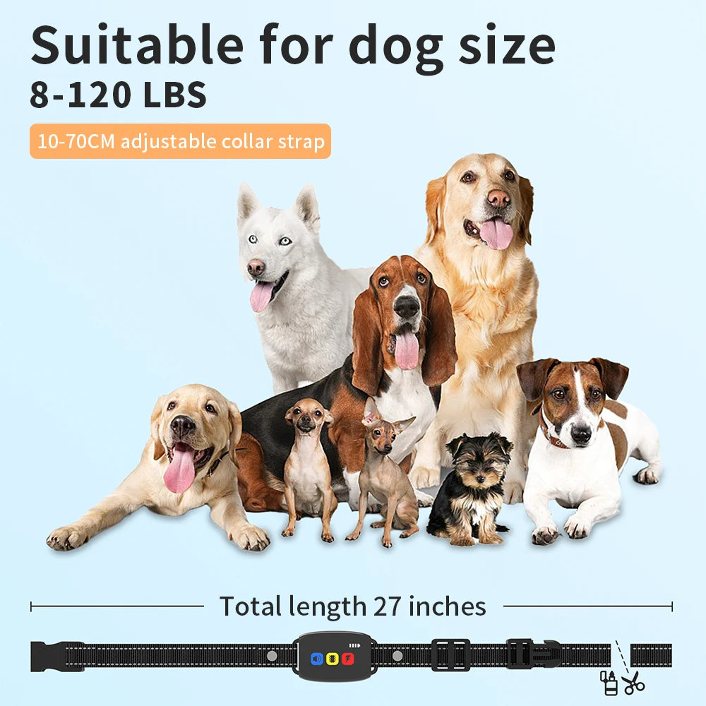 A black rechargeable dog training collar with a remote is shown next to several dogs of various sizes.