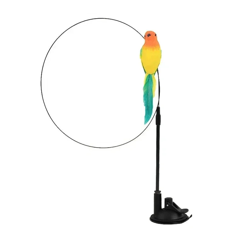 Jouet Interactif pour Chat en Forme de Paon avec Clochette