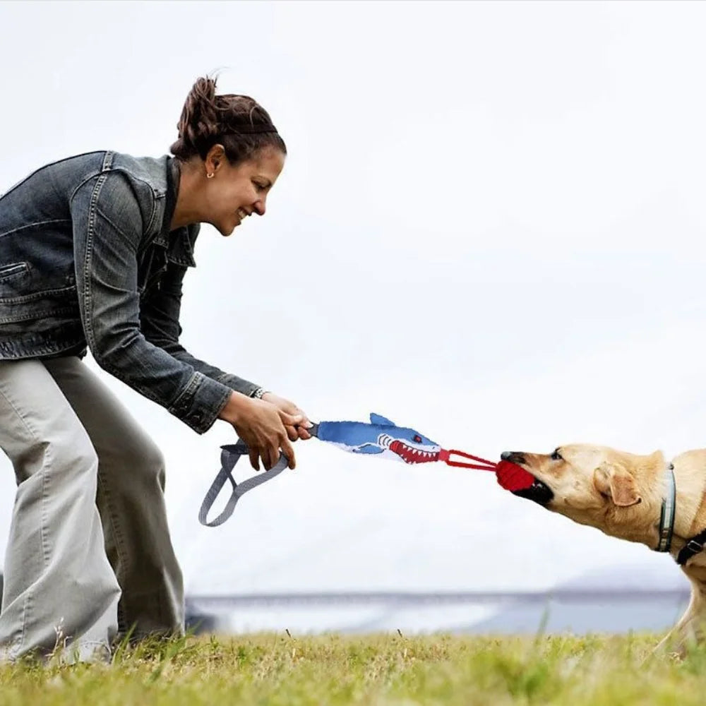 A woman is interacting with an interactive shark rope tug toy with a suction cup for a dog in a grassy field.