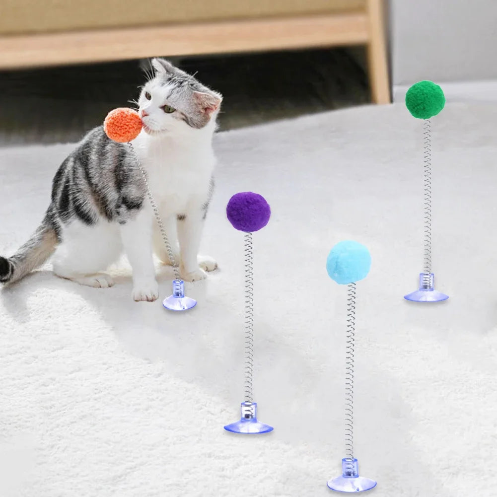 A tabby kitten interacts with several colorful, spring-loaded cat toys on a white surface.