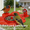 2-in-1 Hummingbird Feeder with Suction Cup & Hanging Design