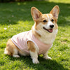 Breathable Summer Pet Vest with Fun Print – Sleeveless Casual Shirt for Small Dogs & Cats