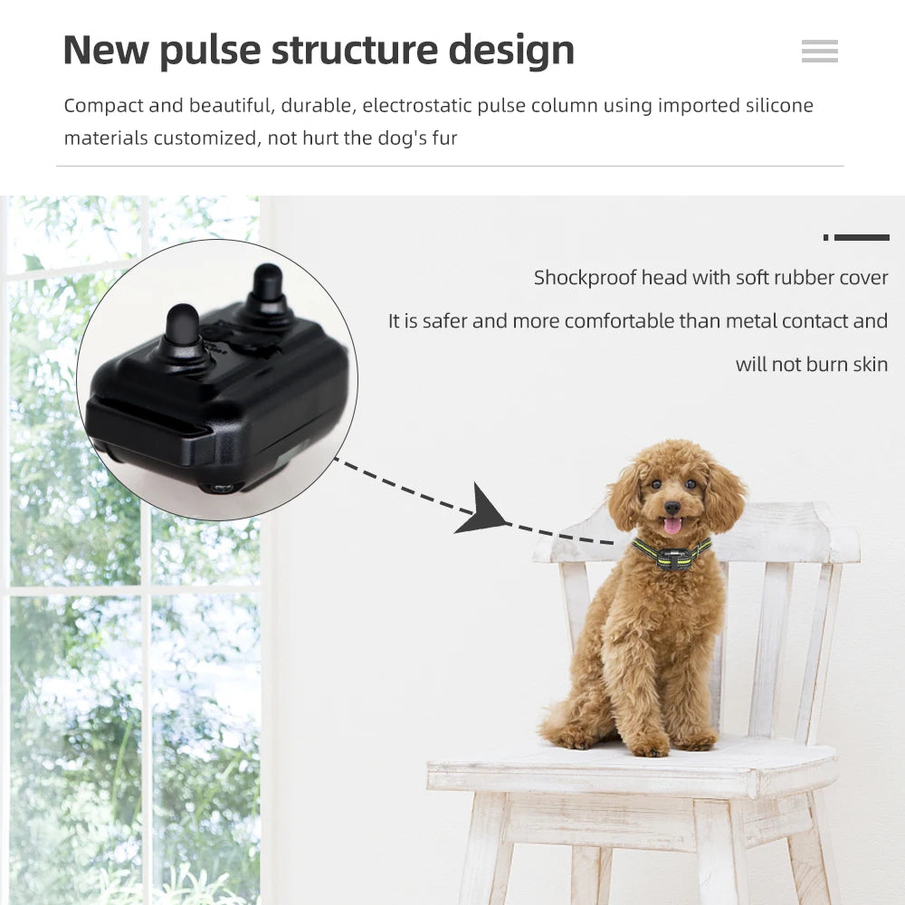 A small dog sits on a wooden chair next to a black pulse structure design training collar.