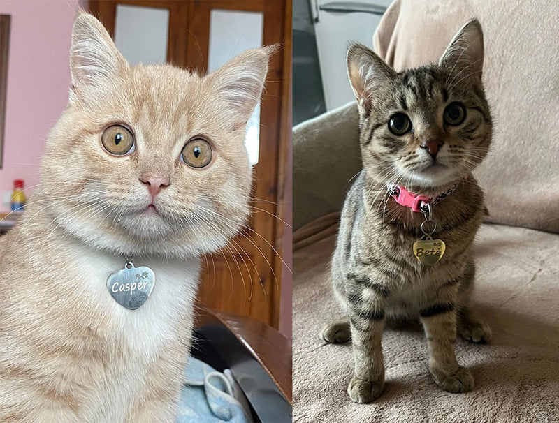 Personalized Pet ID Tag for Collar - Engraved Heart Tag