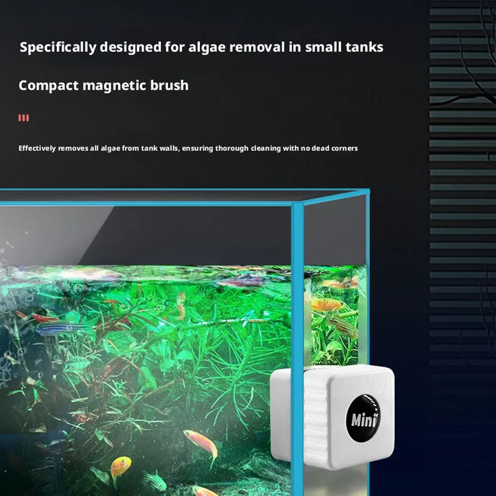 A compact magnetic brush is shown cleaning algae from the glass walls of an aquarium tank.