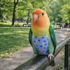 Breathable Parrot Flight Suit with Poop Pocket
