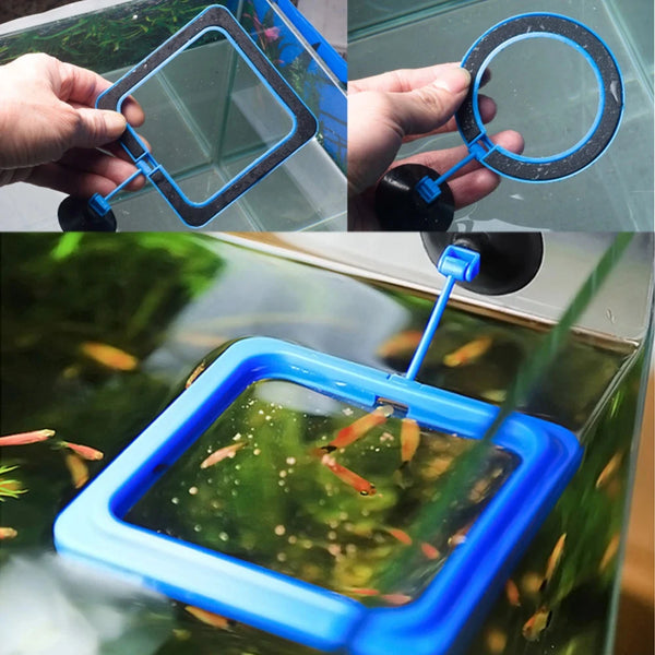 Hands demonstrate the use of an aquarium feeding ring, either square or round, to prevent floating.
