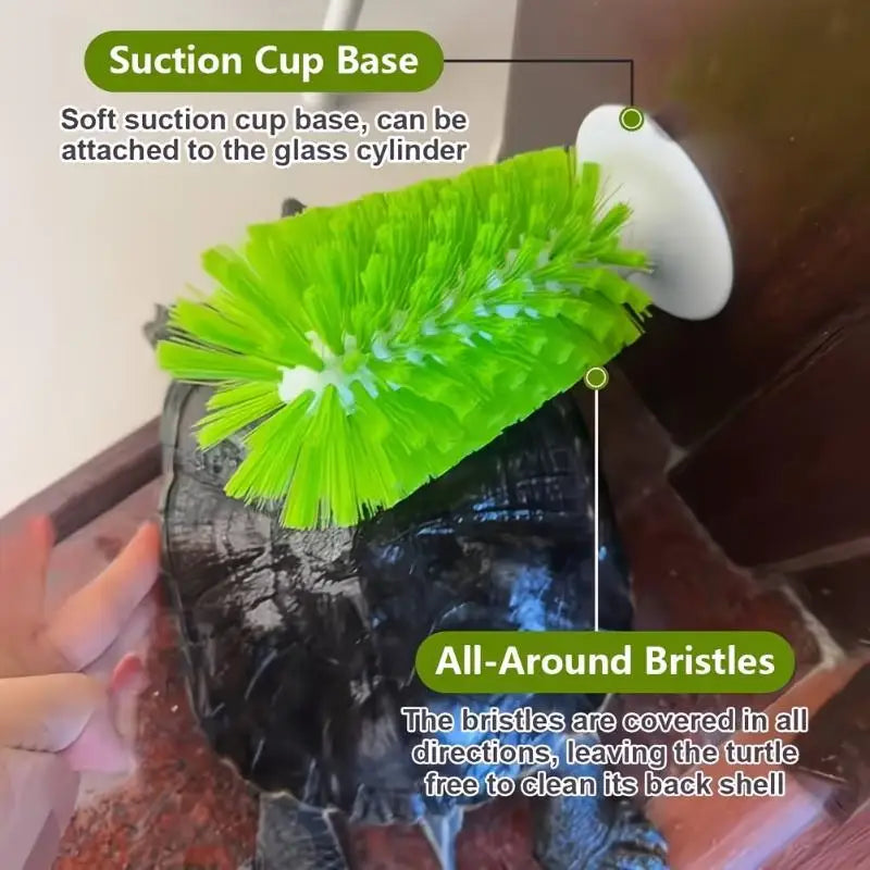 Turtle Shell Cleaning Brush with Feeding Ball