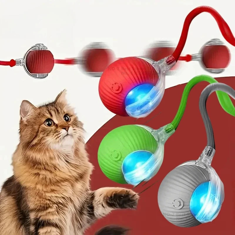 A tabby cat is interacting with a self-moving toy ball featuring LED lights and a flexible tail.