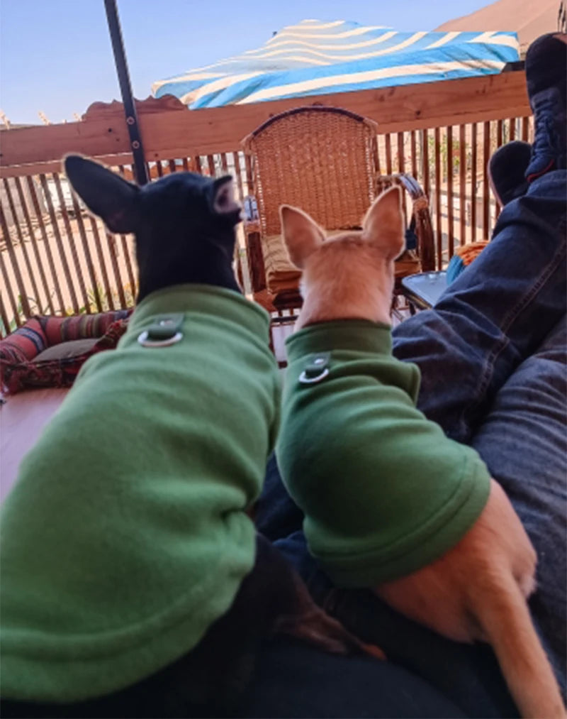 جاكيت كلب من فليس دافئ بحلقة D