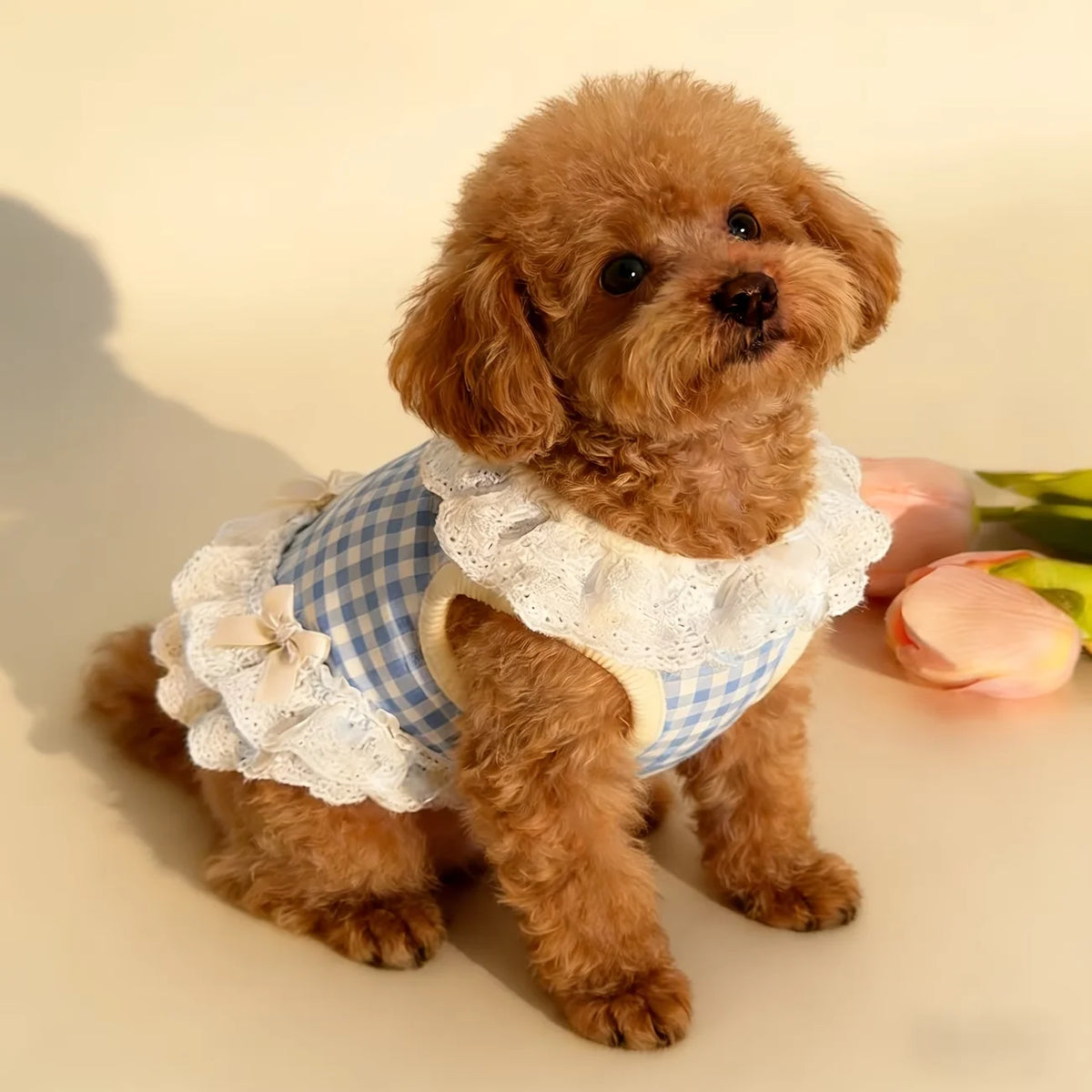 Plaid Lace Pet Dress with Bowknot for Small Dogs and Cats