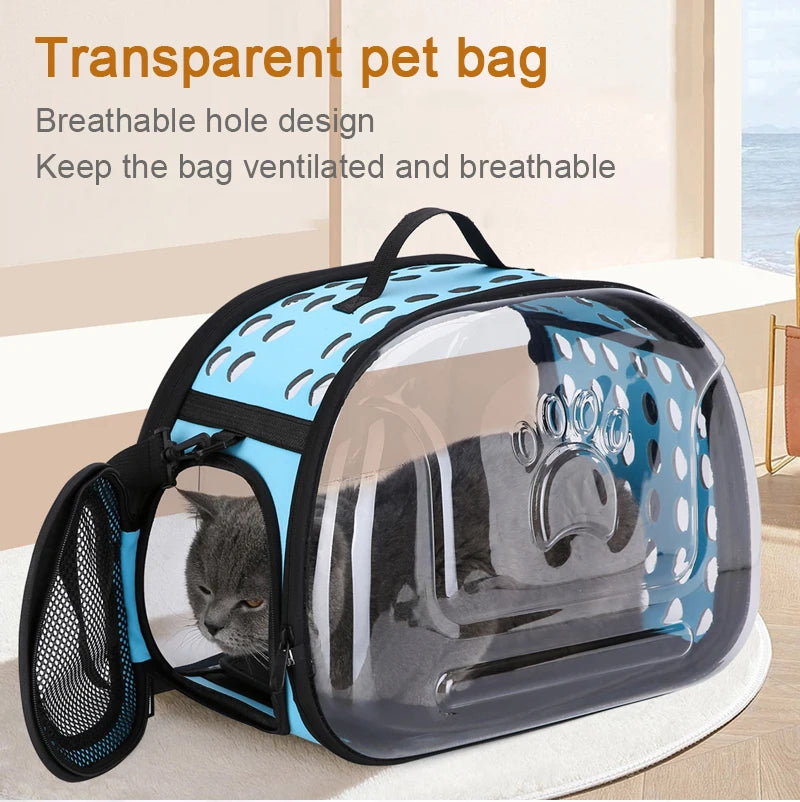 A transparent pet bag carrier with a blue and black design is shown on a light surface.