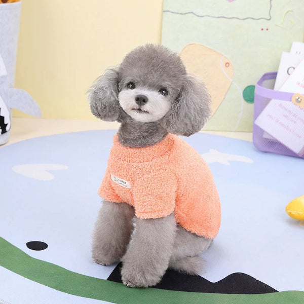 A small, fluffy gray dog wearing an orange knitted coat sitting on a light blue surface.
