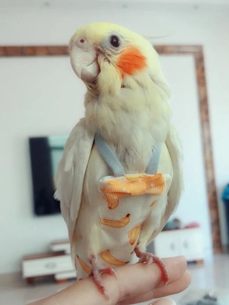 Combinaison de vol en coton lavable avec nœud papillon pour oiseaux