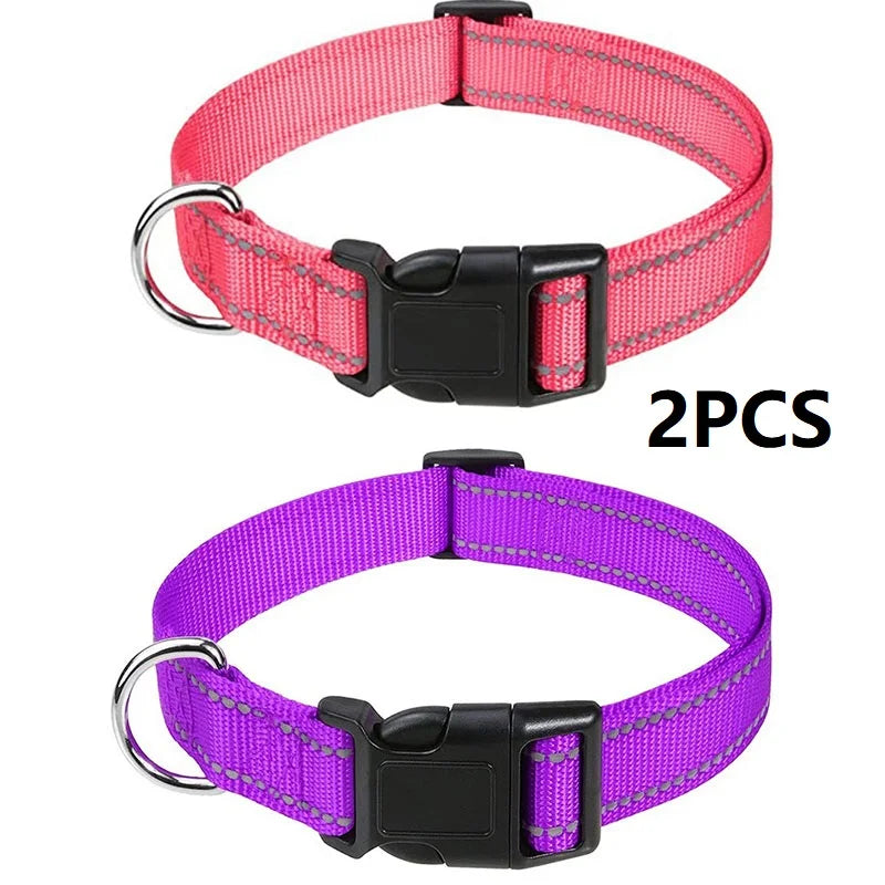 Decorative Nylon Dog Collar with Buckle Closure