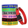 Personalisierte bestickte Nylon-Hundehalsband
