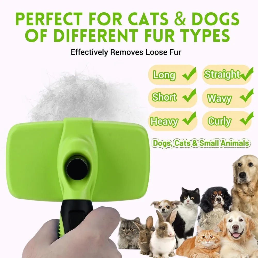 Cat Corner Scratcher with Self-Grooming Bristles and Catnip
