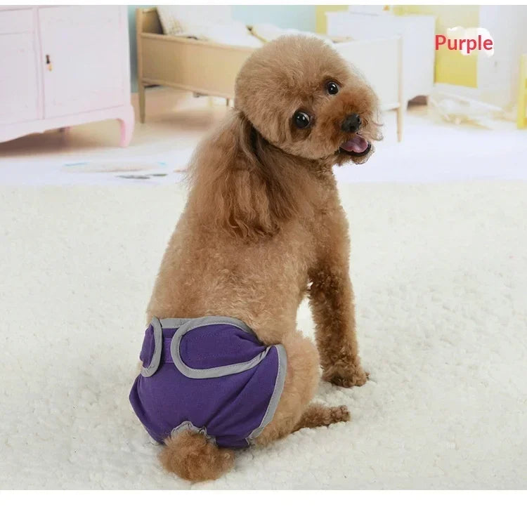Reusable Dog Diapers for Heat Cycles and Incontinence