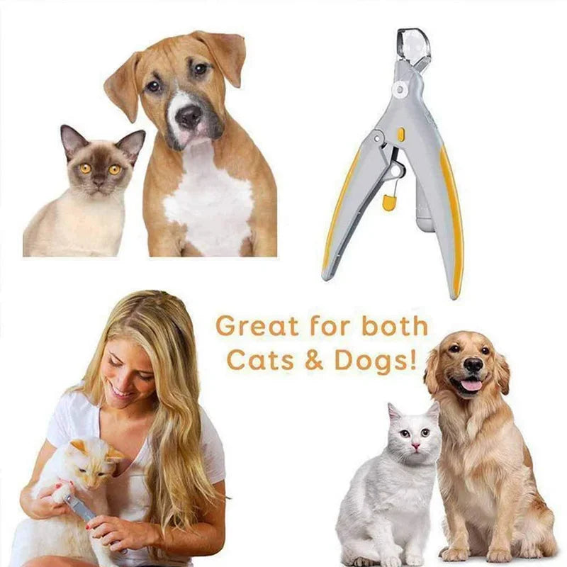 Un par de tijeras para uñas de mascotas LED amarillas y plateadas junto a un gato y un perro.