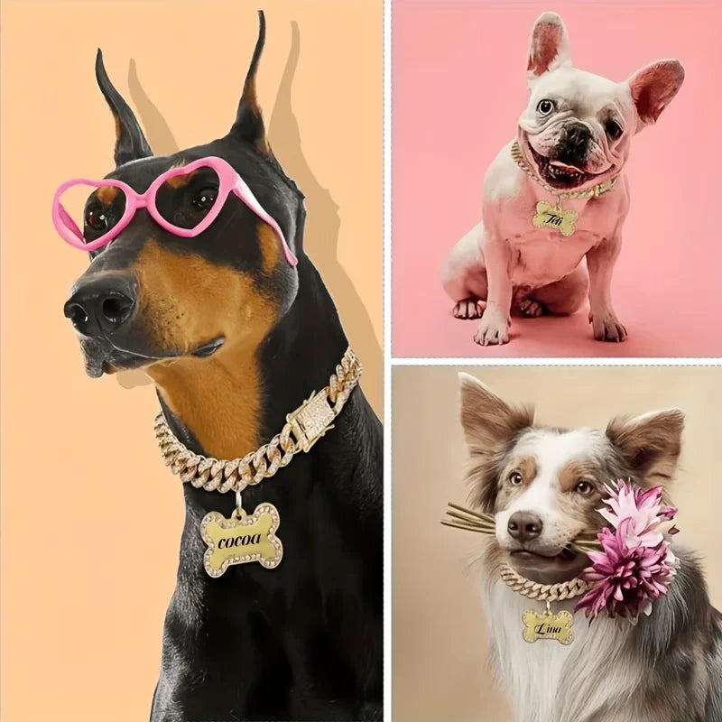 A black dog wearing a gold Cuban link rhinestone pet collar with a bone charm.