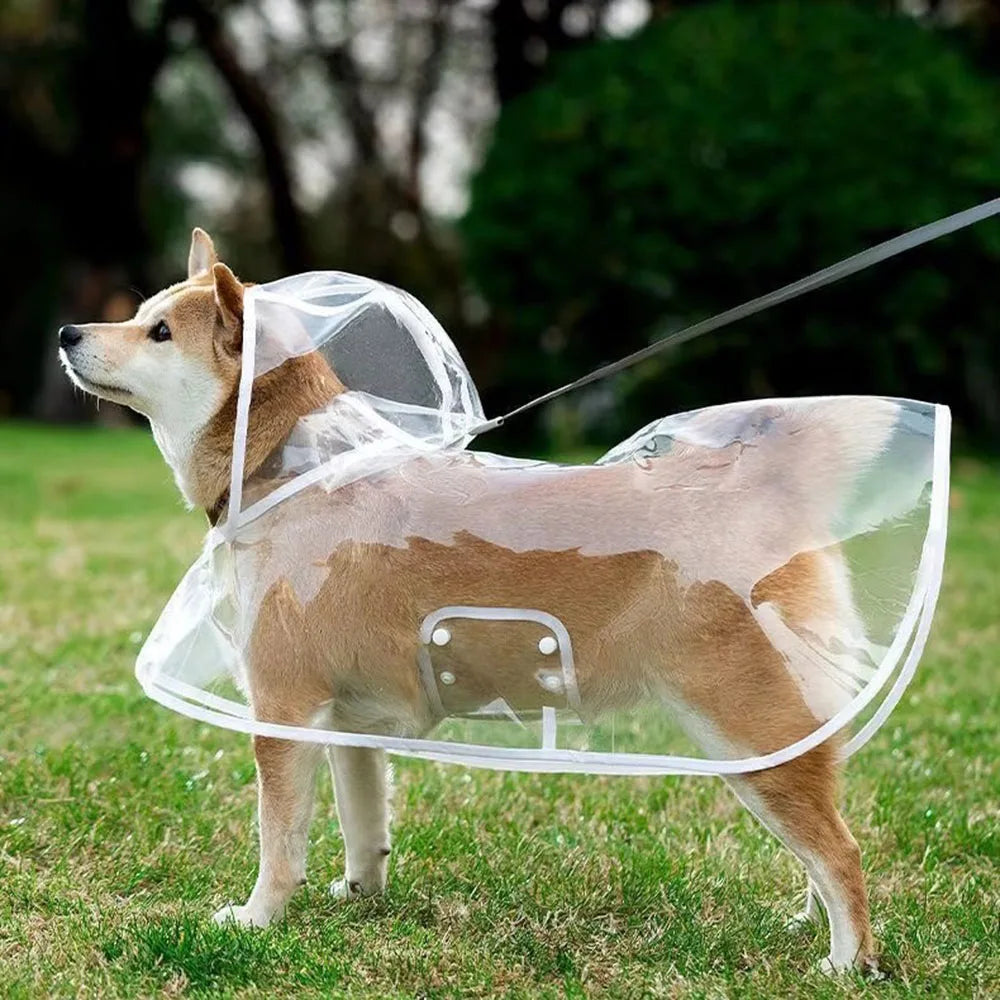 Clear Waterproof Dog Raincoat with Adjustable Hood