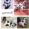 Winter Warm Dog Clothes and Hoodies for Small to XXL Dogs