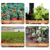 Plastic Plant Nursery Pots with Drainage Holes (Set of 10)