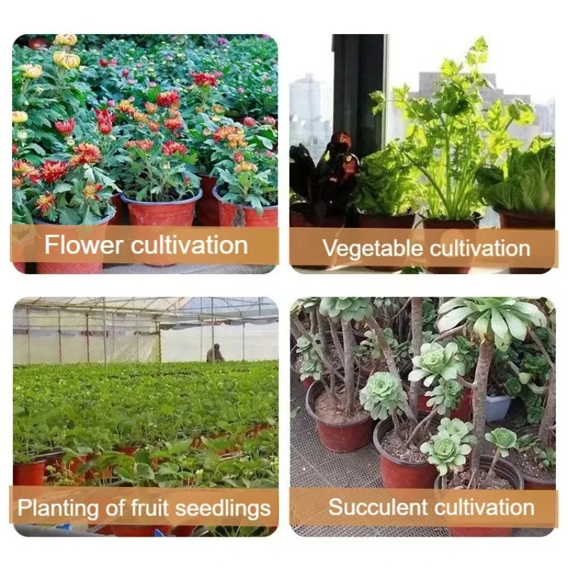 Plastic Plant Nursery Pots with Drainage Holes (Set of 10)