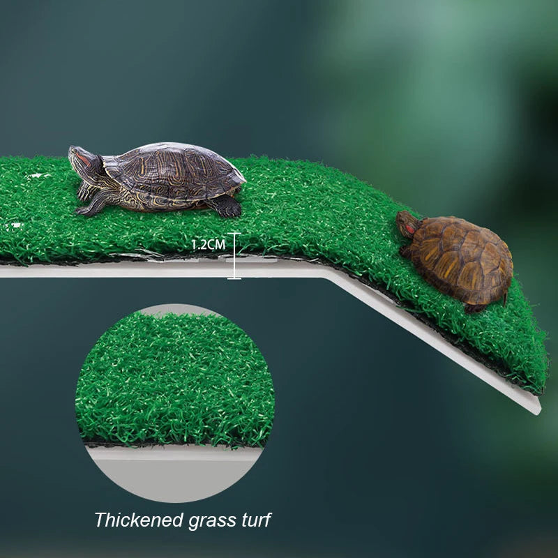 Turtle Basking Platform with Simulation Lawn Ramp