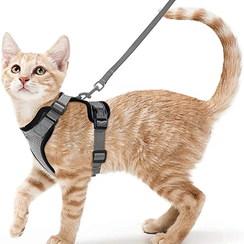 Ausbruchssicherer Katzen-Geschirr mit Leine