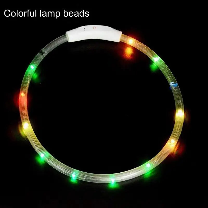 USB-aufladbarer LED-Hundehalsband