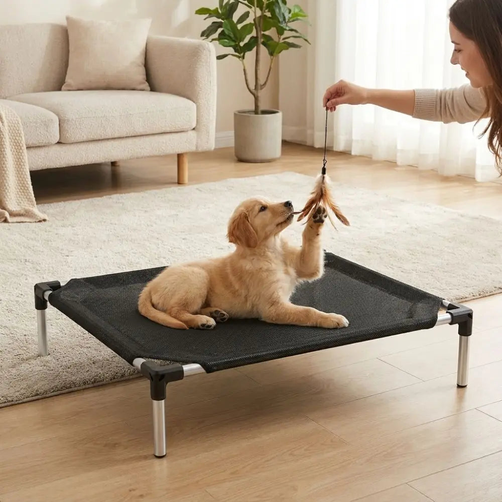 A golden retriever is playing with a feather toy on an elevated mesh pet bed indoors.