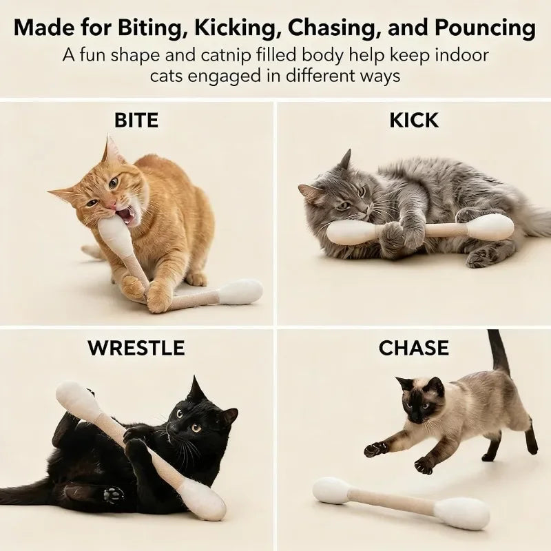 A cat is playing with an interactive wand toy, engaging in biting, kicking, chasing, and pouncing activities.