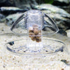 Trampa para Caracoles de Acuario - Control de Plagas Sin Químicos
