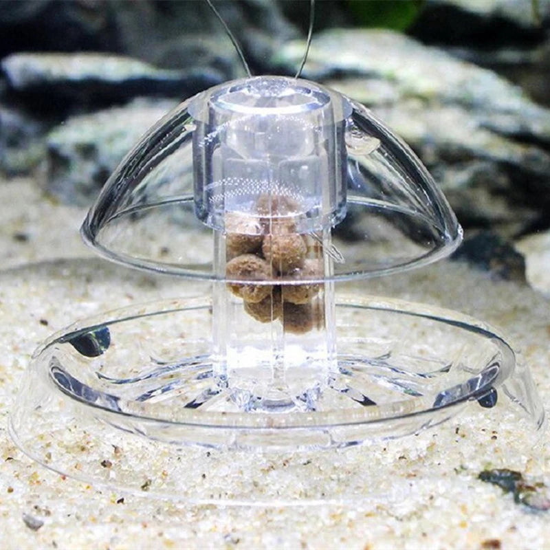 Trampa para Caracoles de Acuario - Control de Plagas Sin Químicos