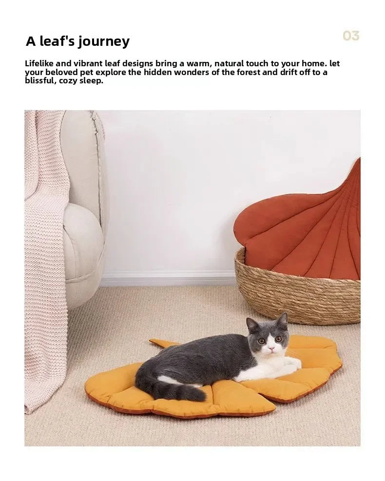 A gray and white cat is relaxing on an orange pet cushion in a bright room.