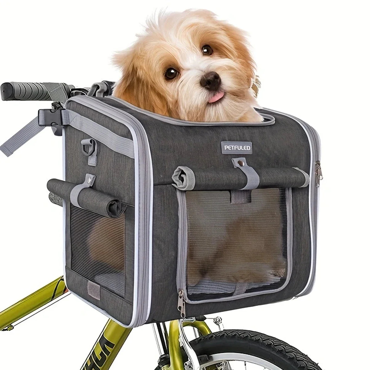 Un chien doré et duveteux se repose dans un panier de vélo pour animaux Petfuleed et un sac à dos de voyage.