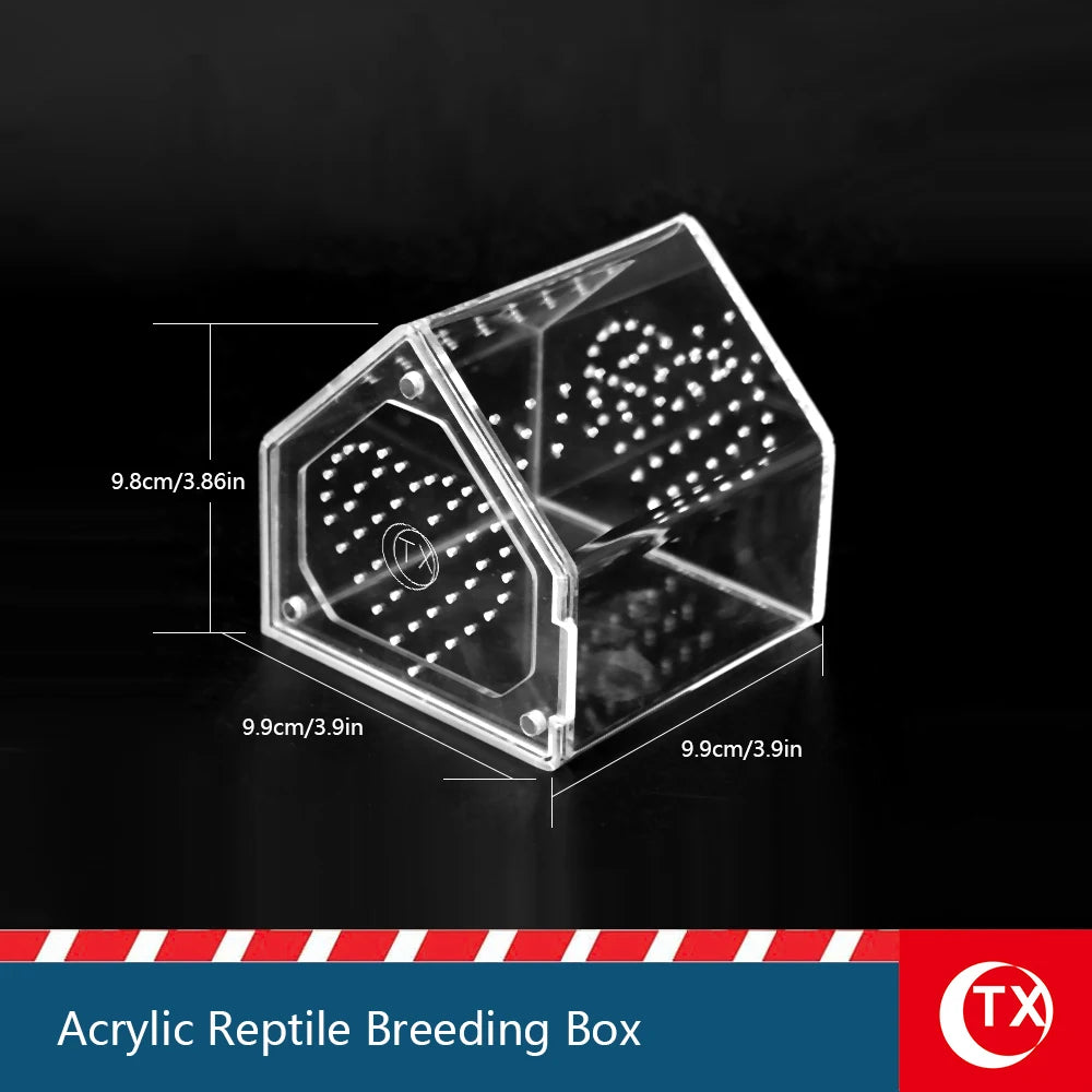 Clear acrylic reptile breeding box with internal dividers for pet habitats