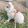 Adjustable Linen Rabbit Harness and Leash Set with Padded Comfort