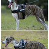Adjustable No-Pull Dog Harness with Reflective Straps
